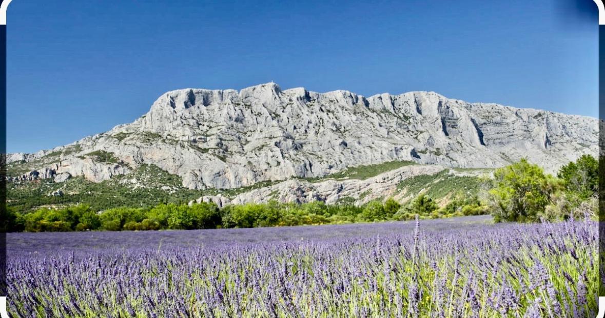 Joli Studio Le Clos D'Aix Avec Grande Terrasse Piscine Et Parking Gratuit Aix-en-Provence Exteriér fotografie